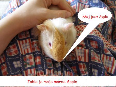 Apple