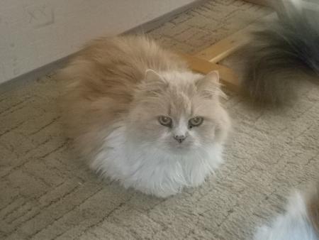 Charlie
