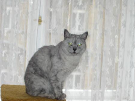 Max