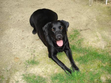 Meggie