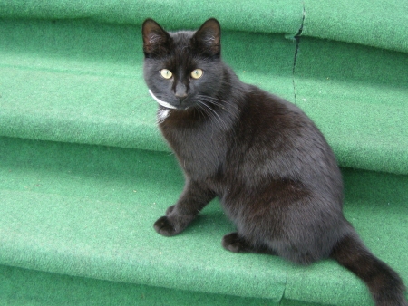 Čertík