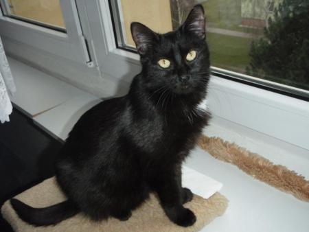 Lucinka