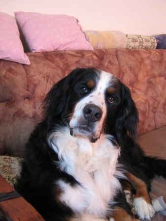 Jack