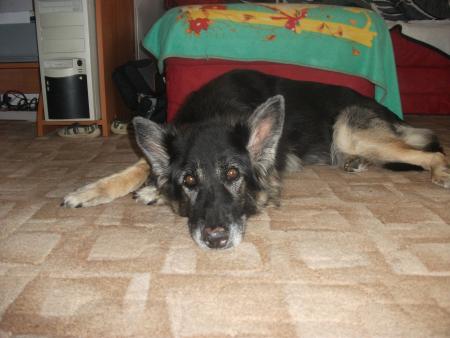 KENDY