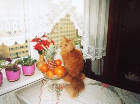 Millinka