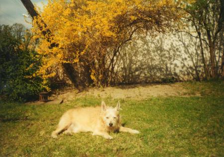 BARYK