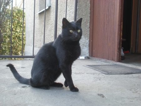 Drápek II.