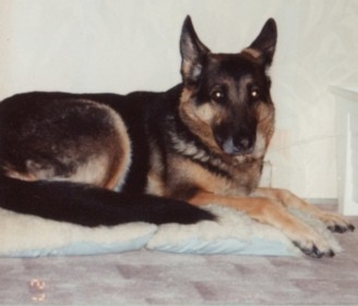 Aruska